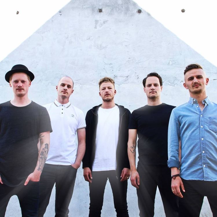 ColdNightForAlligators